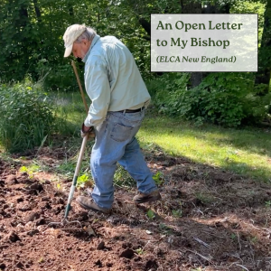An elderly white man working in a garden of rich dark soil, he is holding a tool and is working the soil.