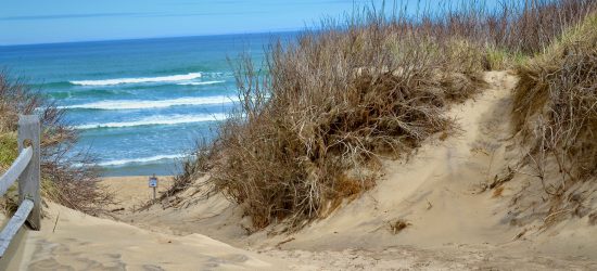 hilly sand and grass with ocean in the distance