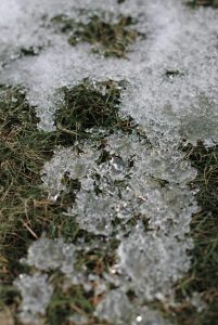 looking down at the ground, seeing grass under melting snow